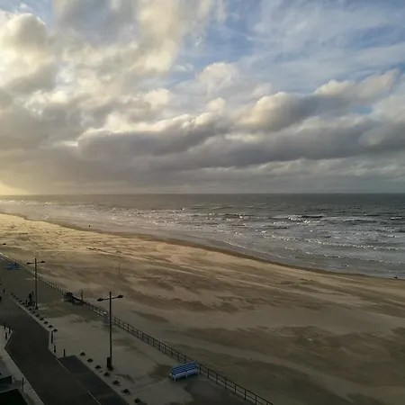 Bed And Beach *